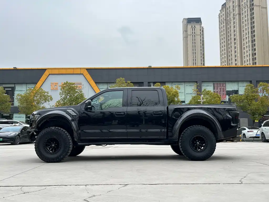 Ford F-150 Raptor 2020 — фото 15