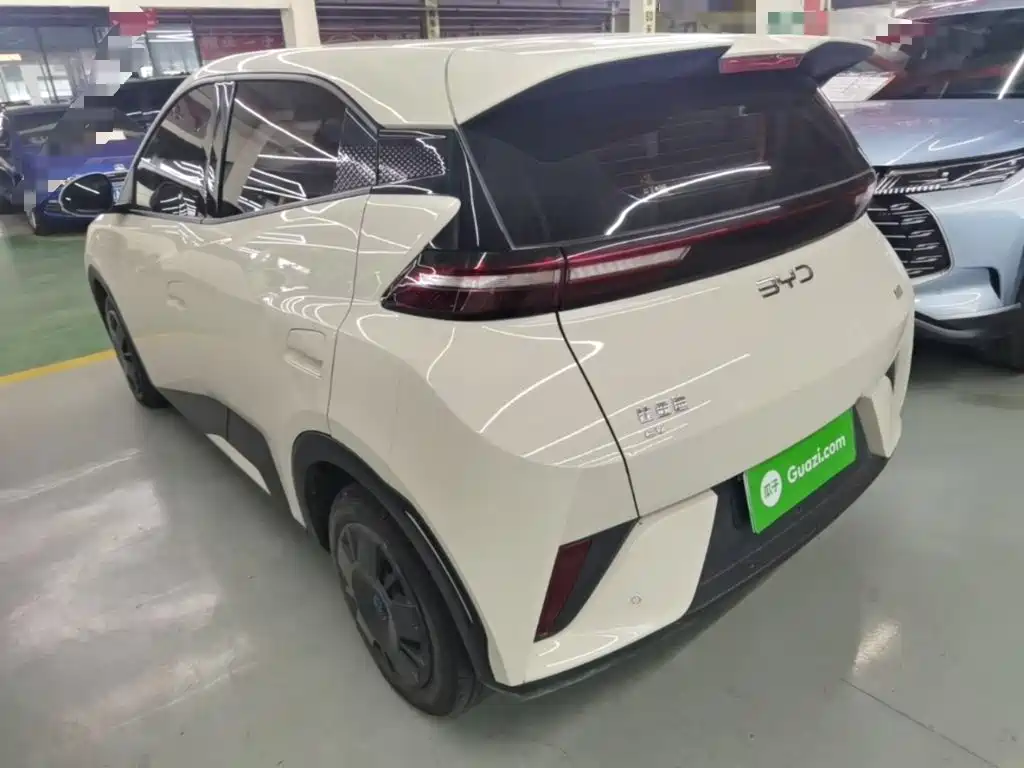BYD Seagull 2025