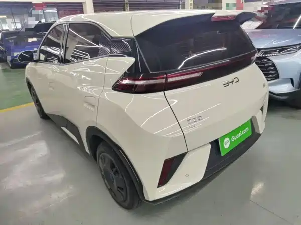 BYD Seagull 2025