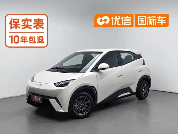 BYD Seagull 2025