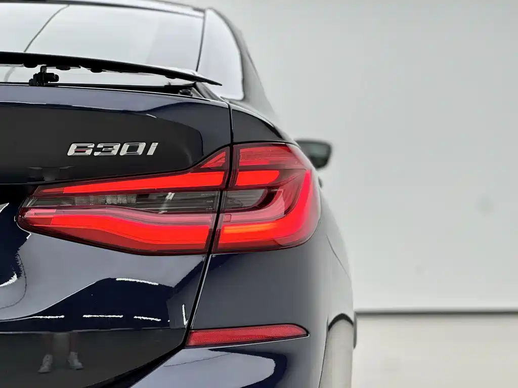 BMW 6 Series GT 2019 — фото 16