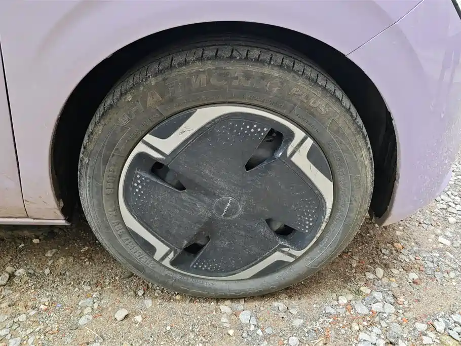 Dongfeng Nano 01 2024