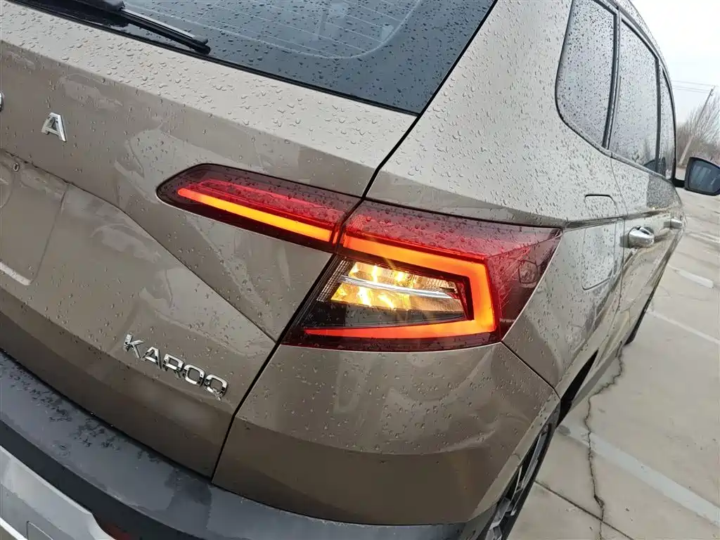 Skoda Karoq 2019 — фото 24