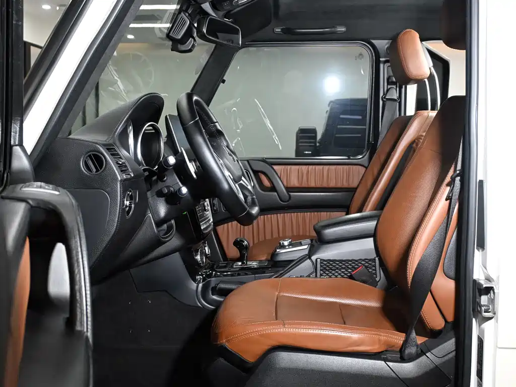 Mercedes-Benz G-Class 2018 — фото 14