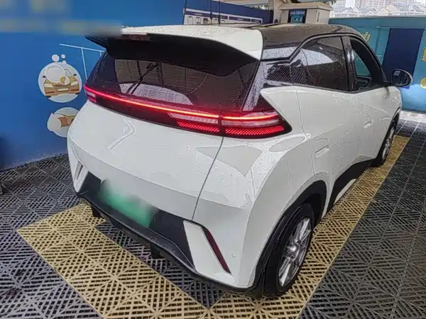 BYD Seagull 2024