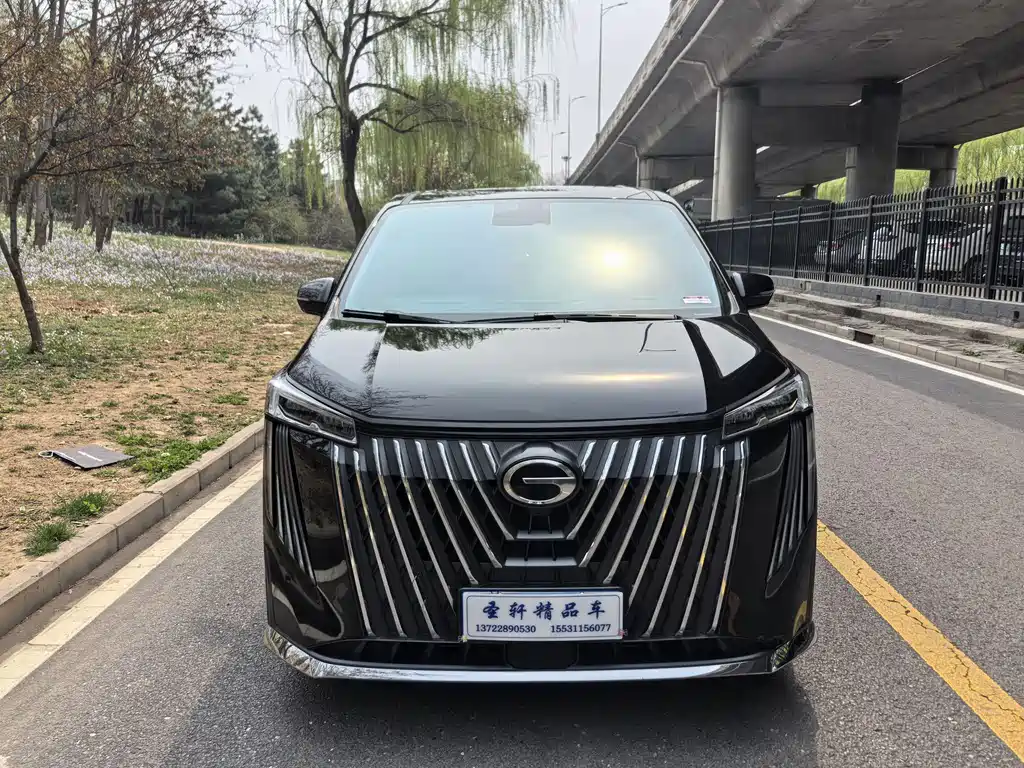 GAC Motor Trumpchi M8 2024 — фото 2