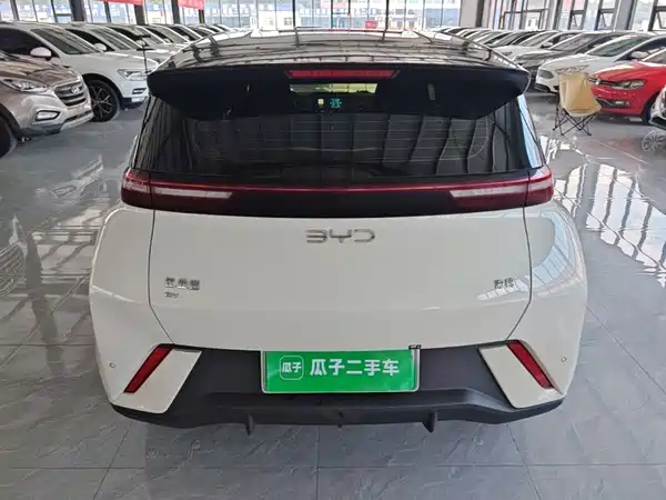 BYD Seagull 2024