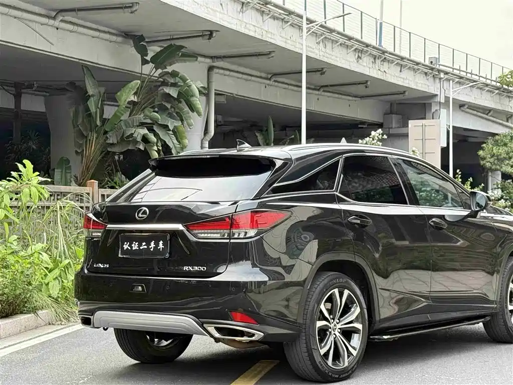 Lexus RX 2021 — фото 23