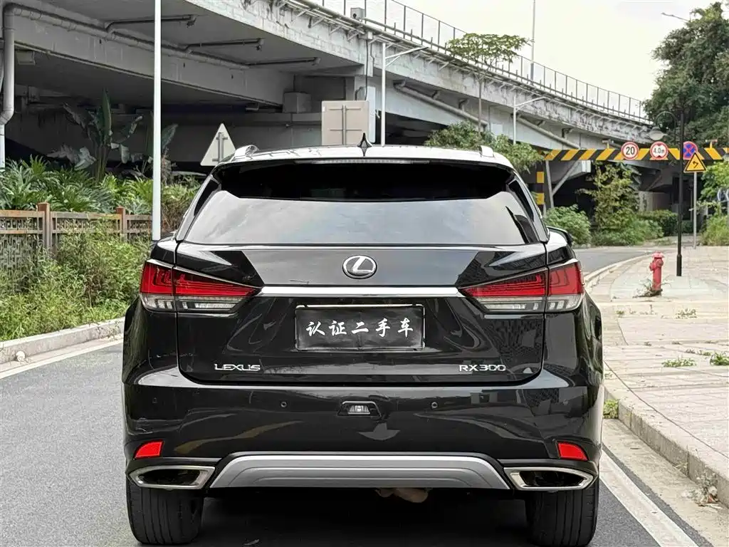 Lexus RX 2021 — фото 21