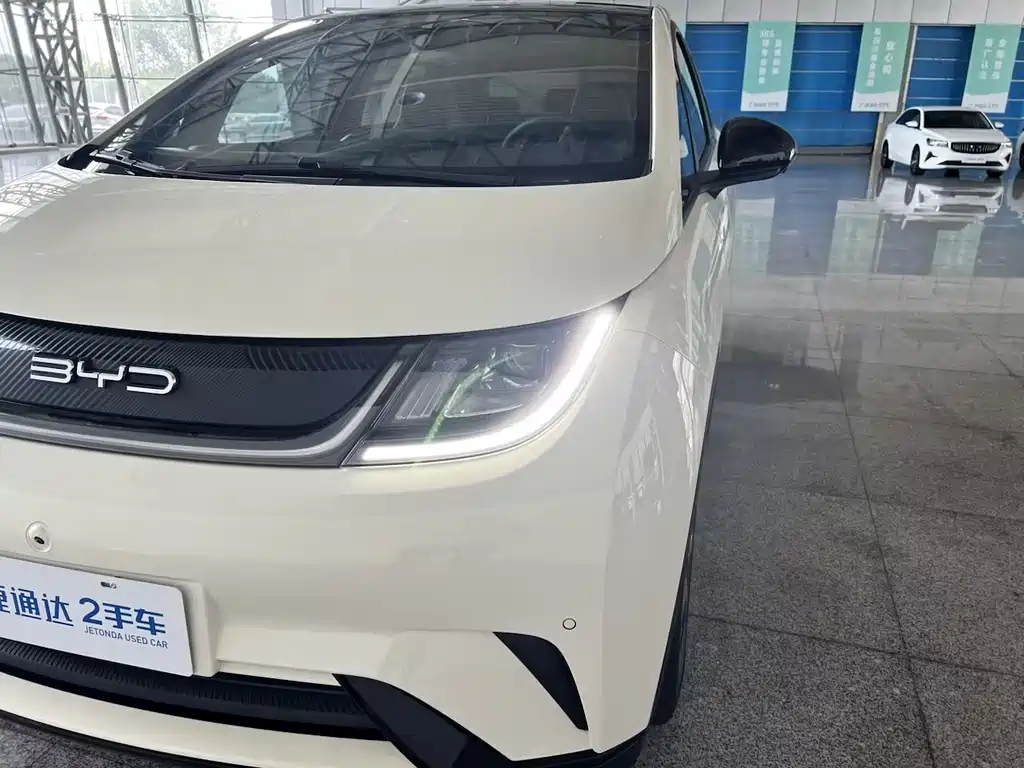 BYD Dolphin 2023 — фото 28