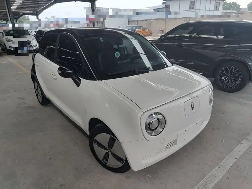 Ora Black Cat 2022