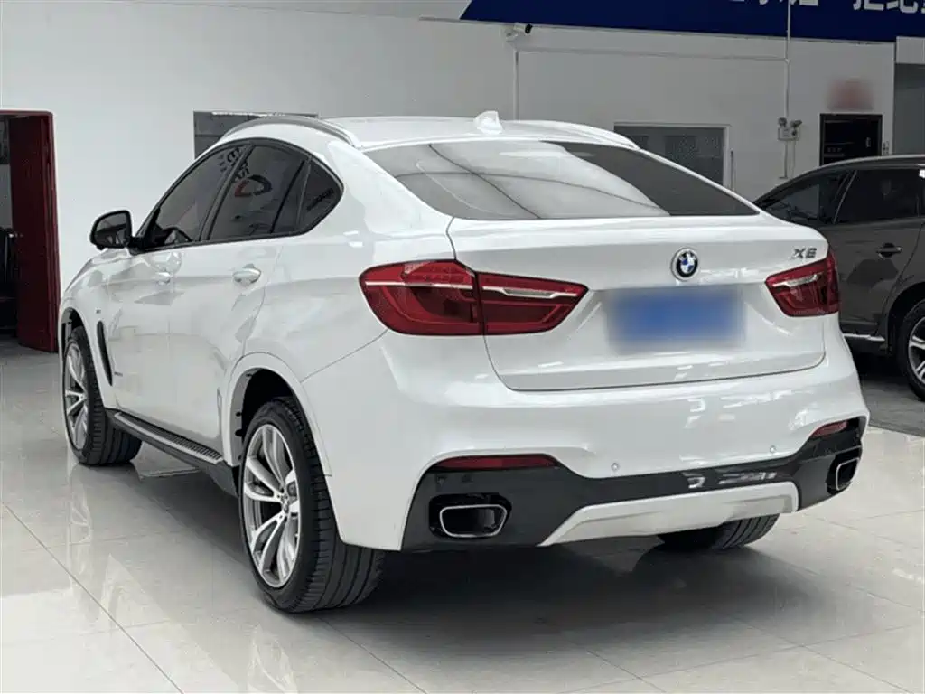 BMW X6 2019 — фото 11
