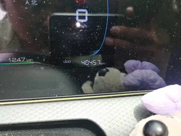 BYD Song Pro New Energy 2025