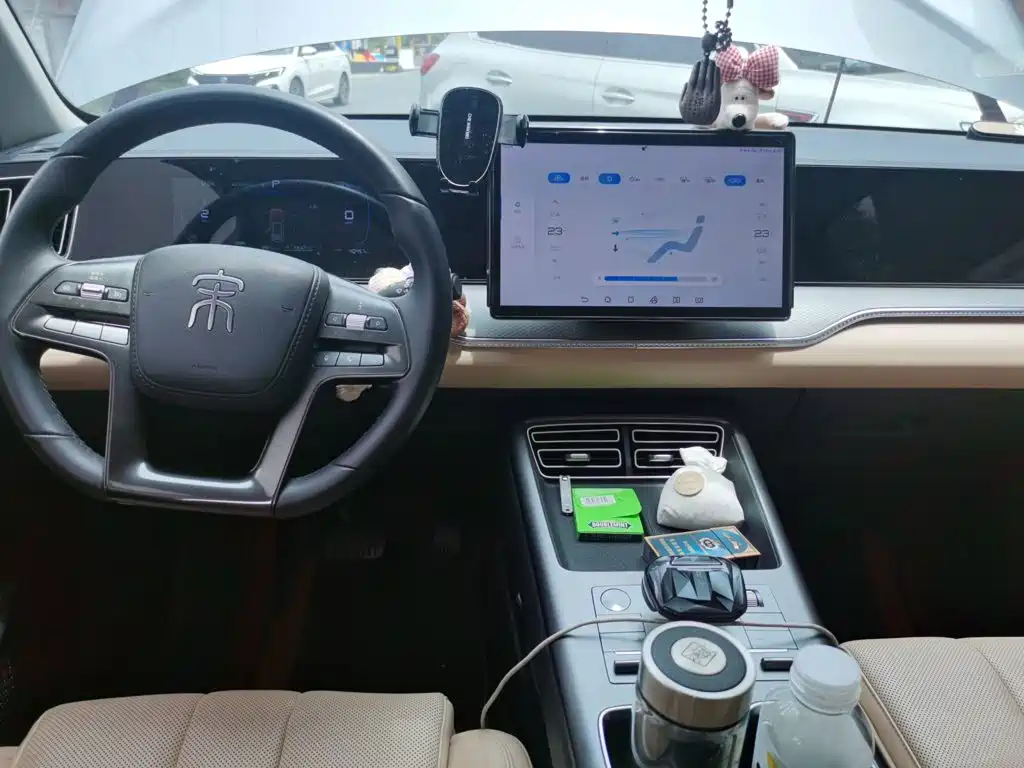BYD Song Pro New Energy 2025 — фото 13