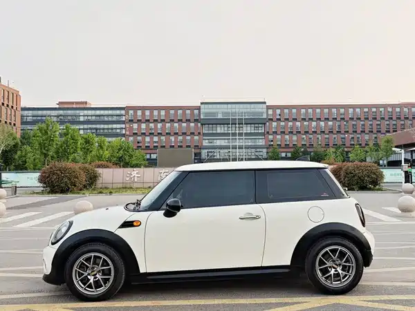 MINI MINI 2013