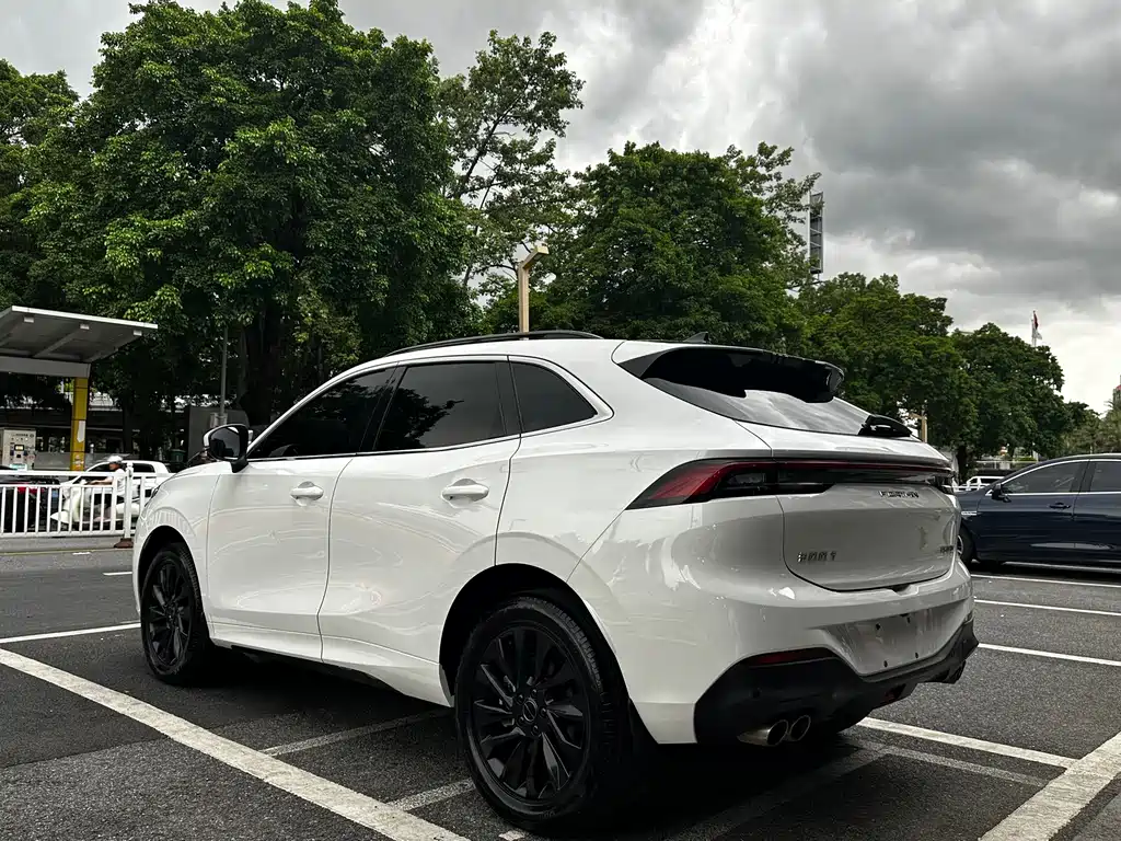 Dongfeng Fengxing T5 EVO 2022 — фото 4