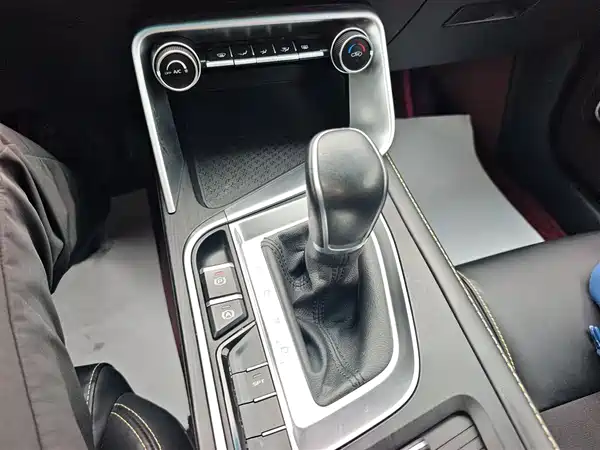 Geely Binrui 2021