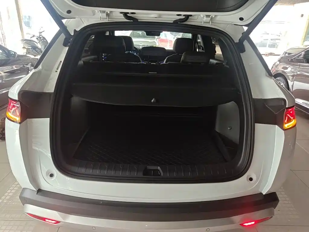 BYD Song L DM-i 2025 — фото 19