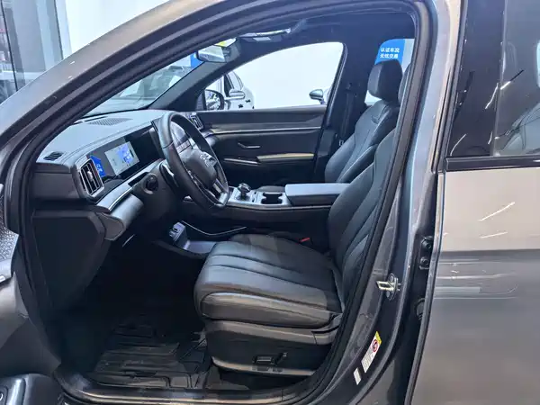 BYD Song Pro New Energy 2025