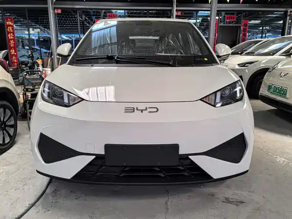 BYD Seagull 2025