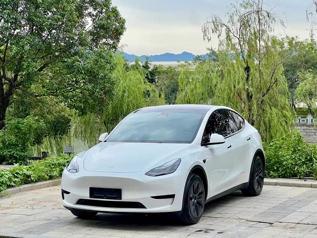 Tesla Model Y 2024 — фото 1