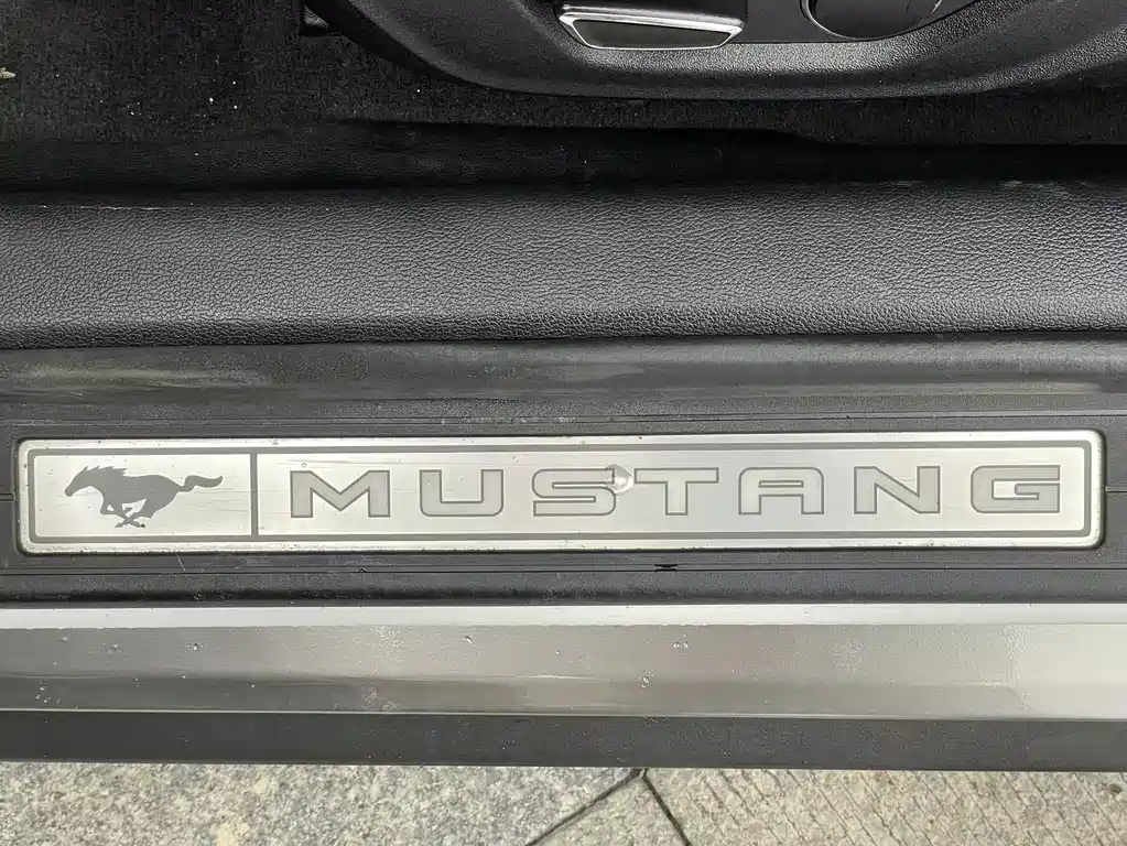 Ford Mustang 2015 — фото 16