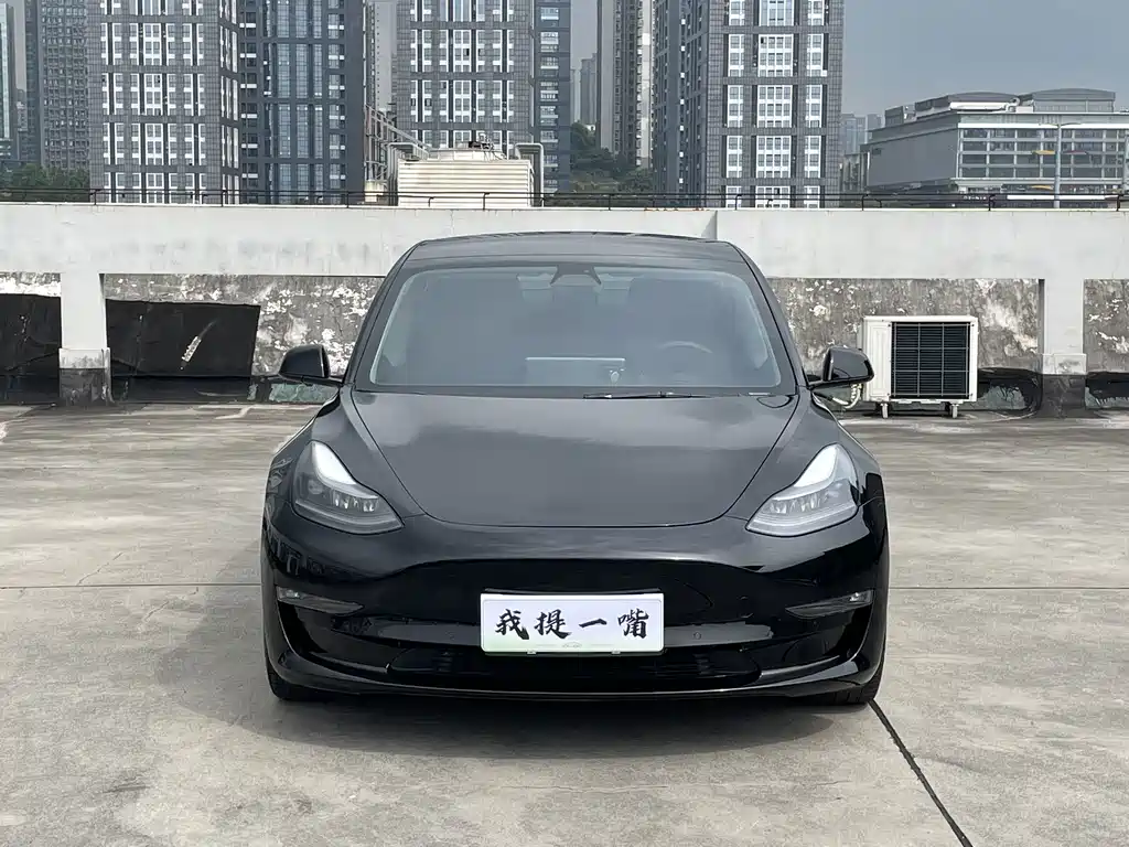 Tesla Model 3 2021 — фото 3
