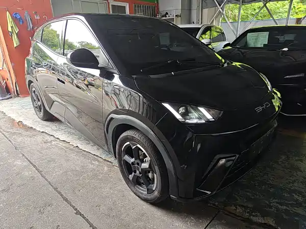 BYD Seagull 2024