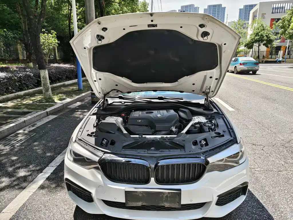 BMW 5 Series 2019 — фото 15