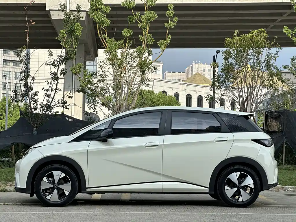BYD Dolphin 2023
