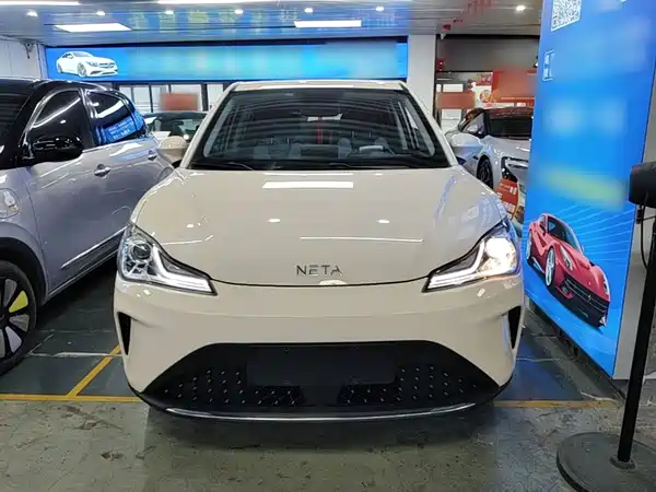 Neta AYA 2024