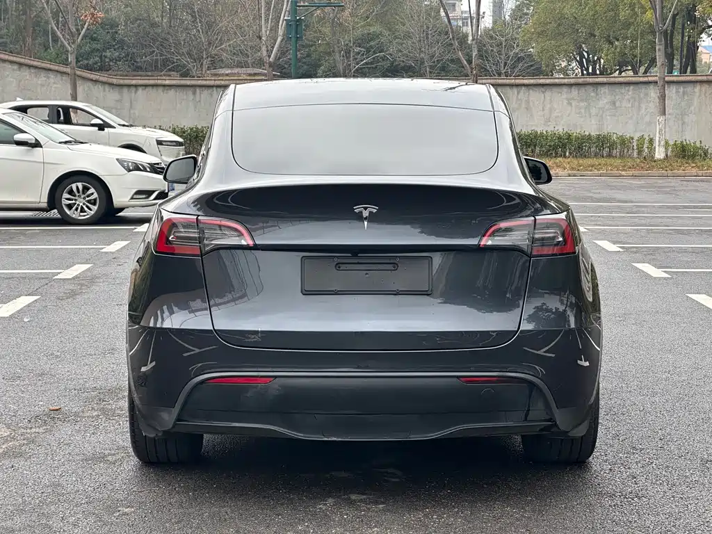 Tesla Model Y 2024 — фото 4