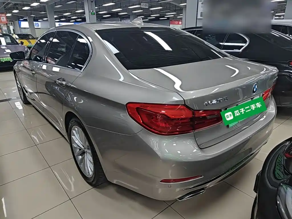 BMW 5 Series New Energy 2019