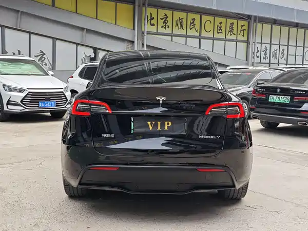 Tesla Model Y 2021