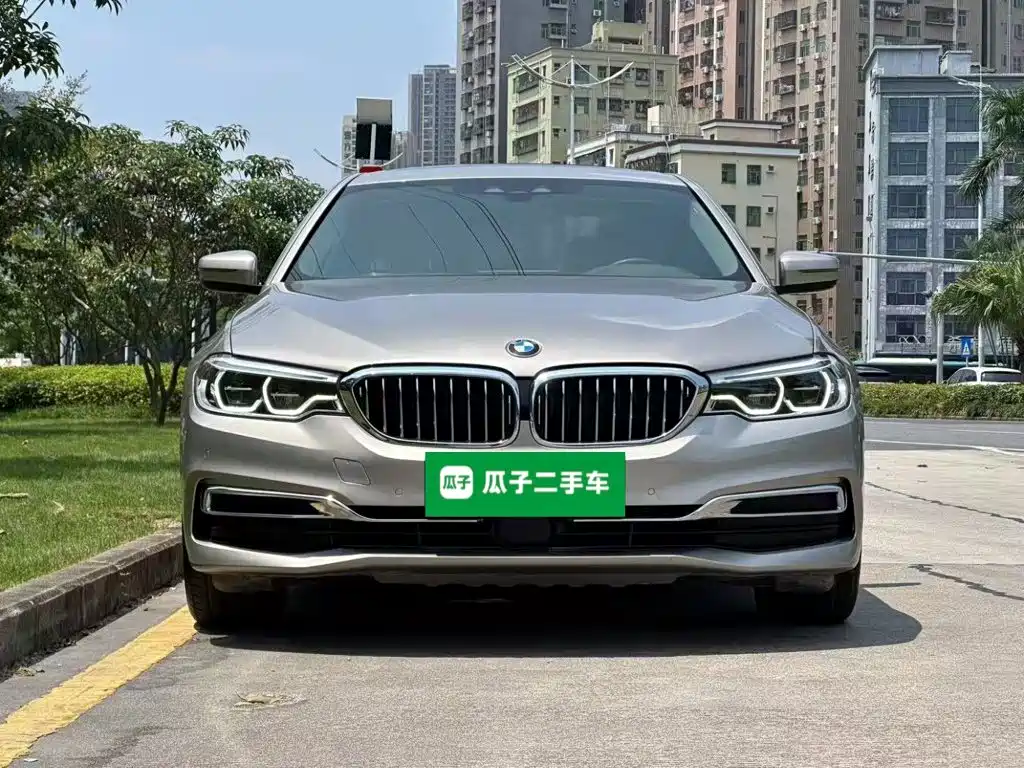BMW 5 Series New Energy 2019