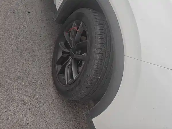 Dongfeng Scenery 580 2023