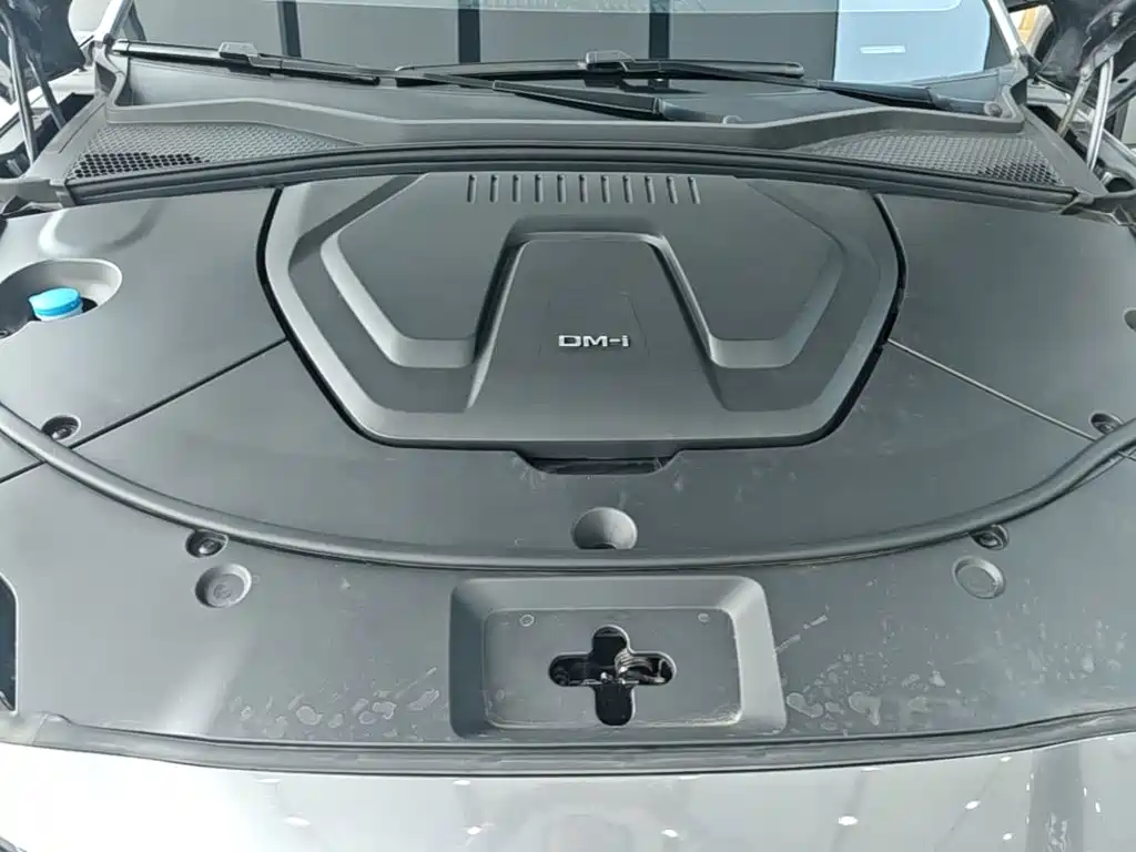 BYD Song PLUS New Energy 2024 — фото 20