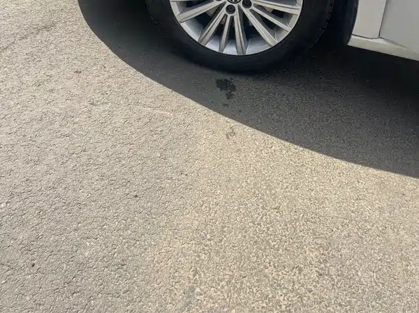 Volkswagen Gran Lavida 2013