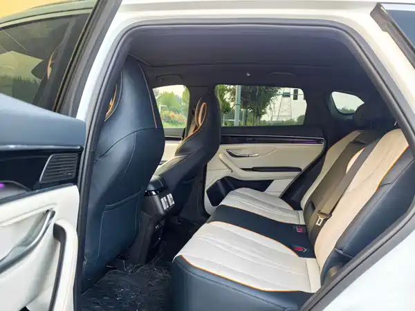 BYD Song PLUS New Energy 2023