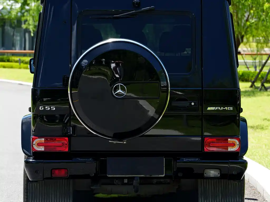 Mercedes-Benz G-Class AMG 2010 — фото 8