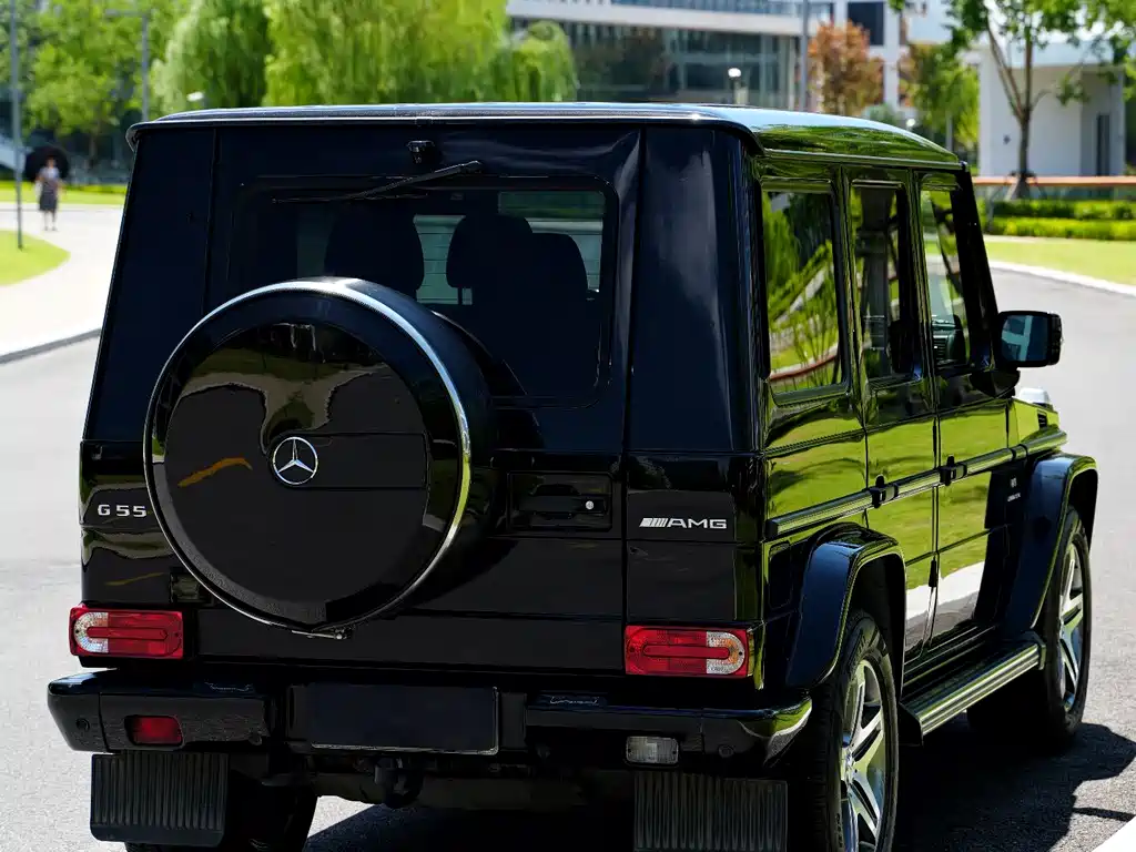 Mercedes-Benz G-Class AMG 2010 — фото 9