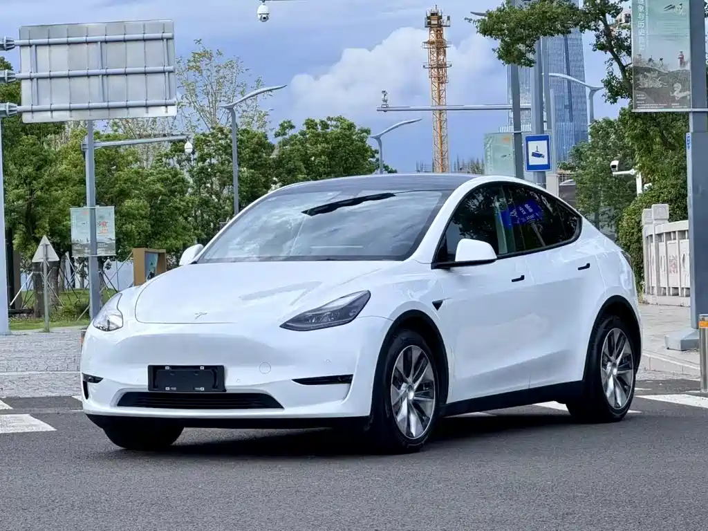 Tesla Model Y 2021 — фото 2