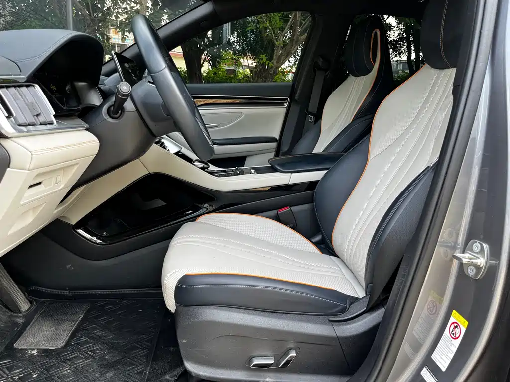 BYD Song PLUS New Energy 2023 — фото 10