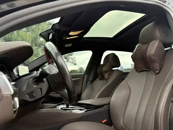 BMW 5 Series 2020