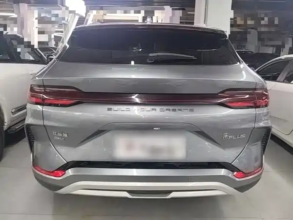 BYD Song PLUS New Energy 2024