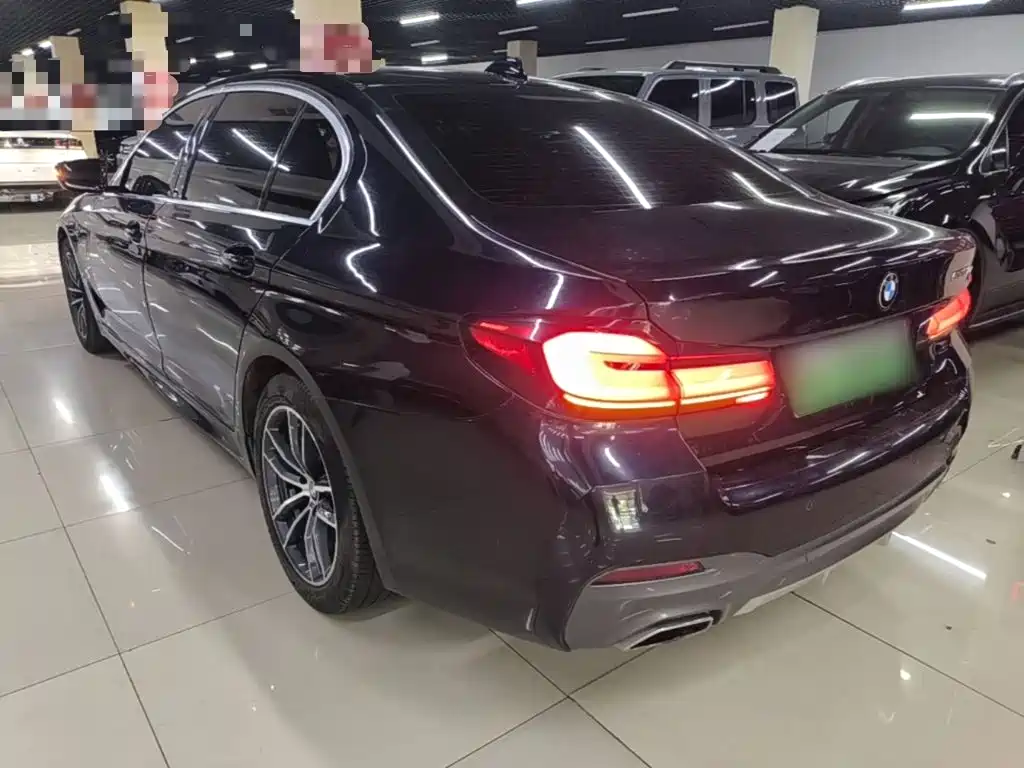 BMW 5 Series New Energy 2021