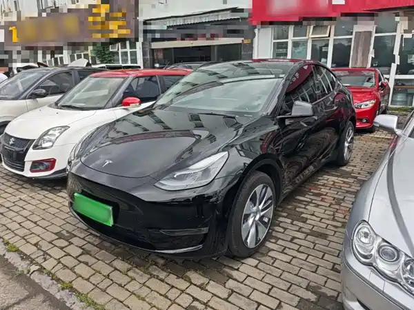 Tesla Model Y 2022