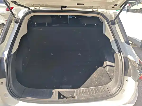 Neta V 2021