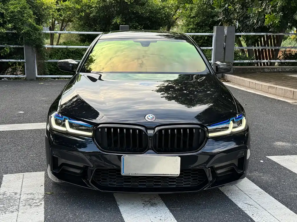 BMW 5 Series 2019