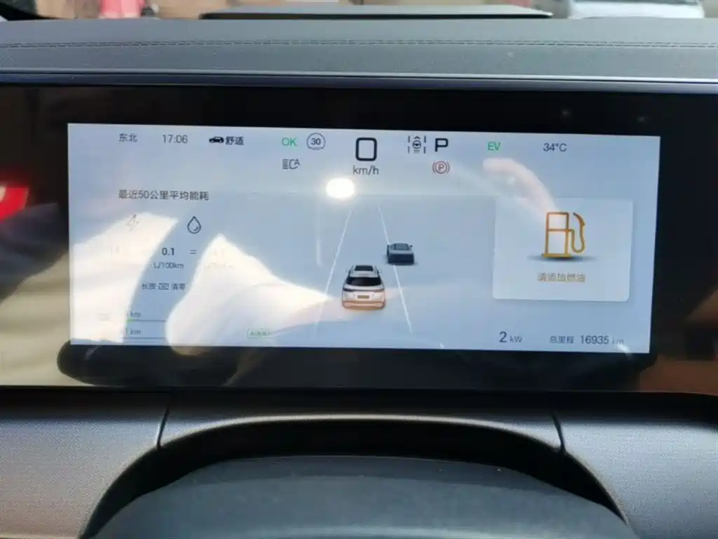 BYD L DM-i 2024 — фото 12